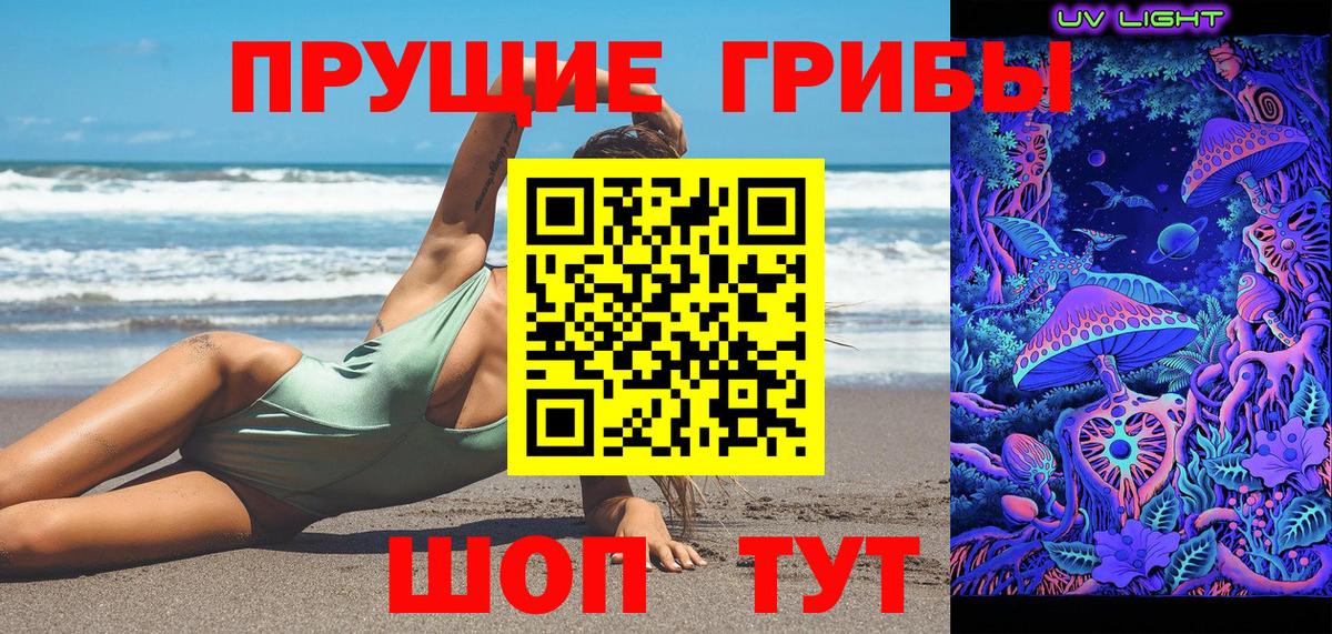 Псилоцибиновые грибы мухоморы Сертолово